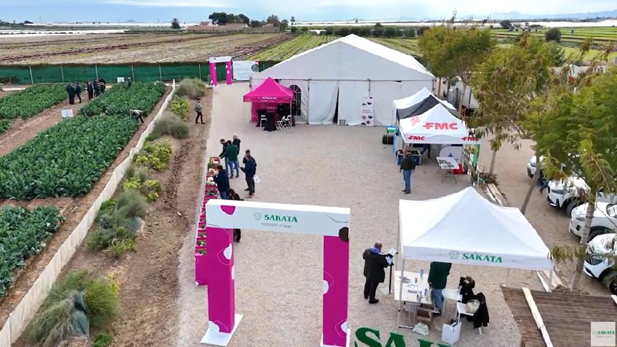 Sakata refuerza el debate técnico en brásicas con un formato ampliado en los Winter Days 2026 (1).jpg